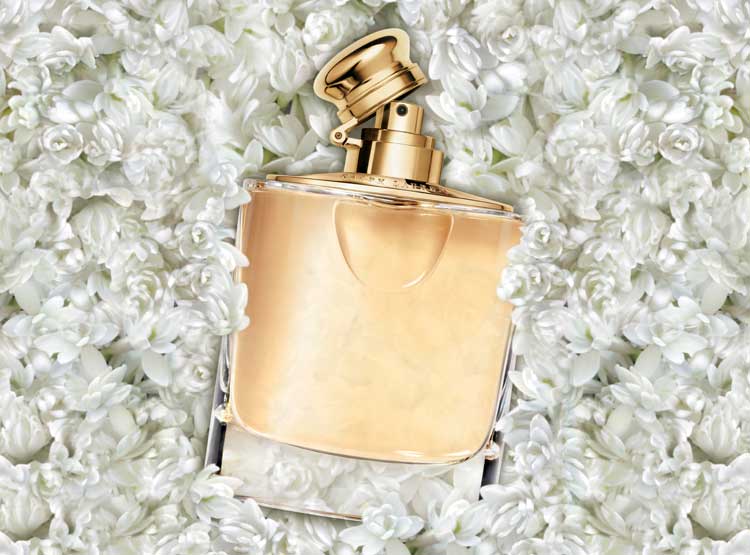 Woman Eau de Parfum 3