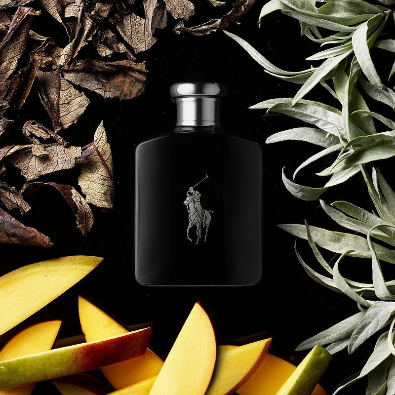 polo black 2