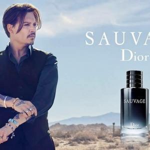 sauvage christian dior 4